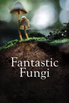 poster Fantastic Fungi&nbsp;&nbsp;(2019)